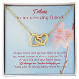 Tribute To An Amazing Friend Interlocking Hearts Necklace
