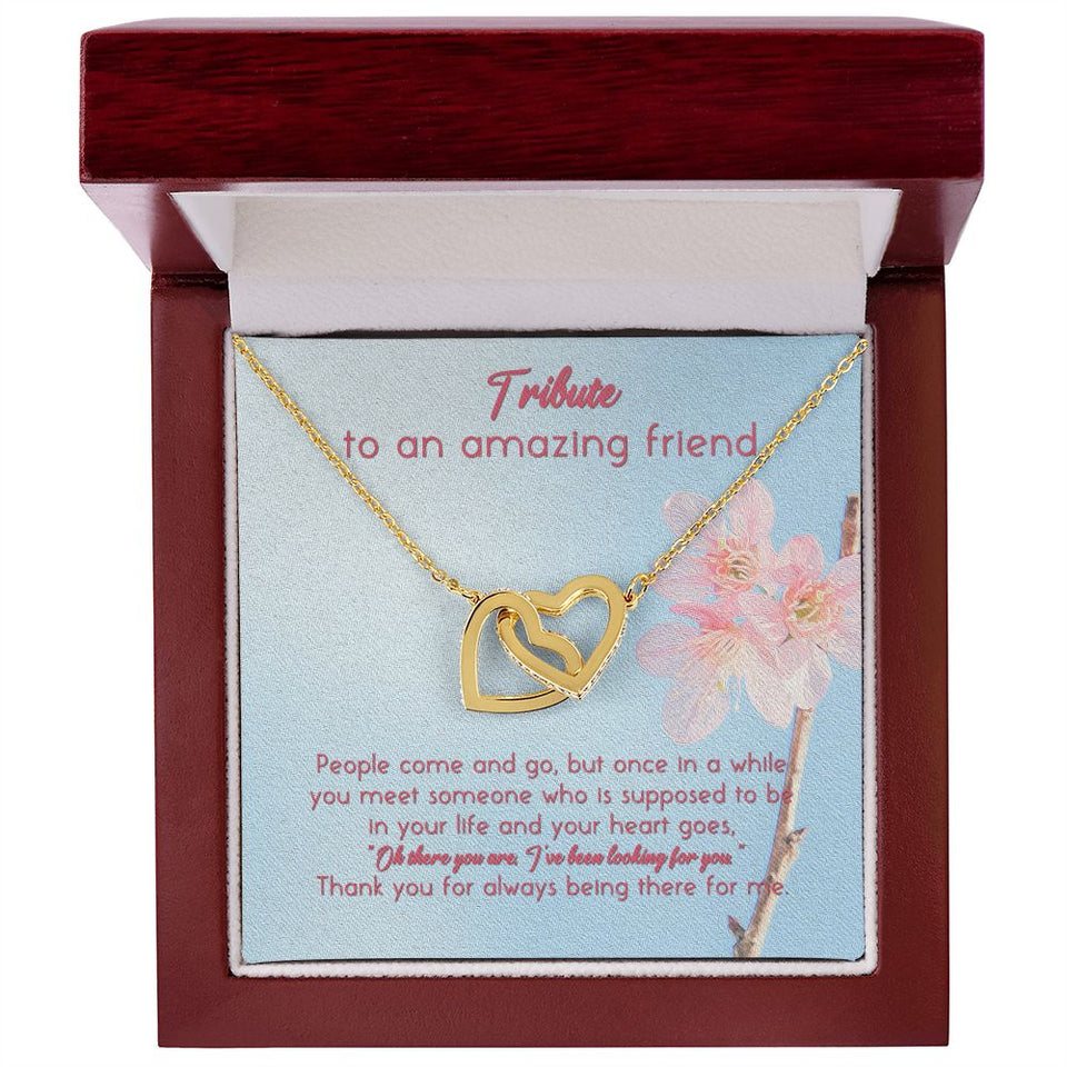 Tribute To An Amazing Friend Interlocking Hearts Necklace