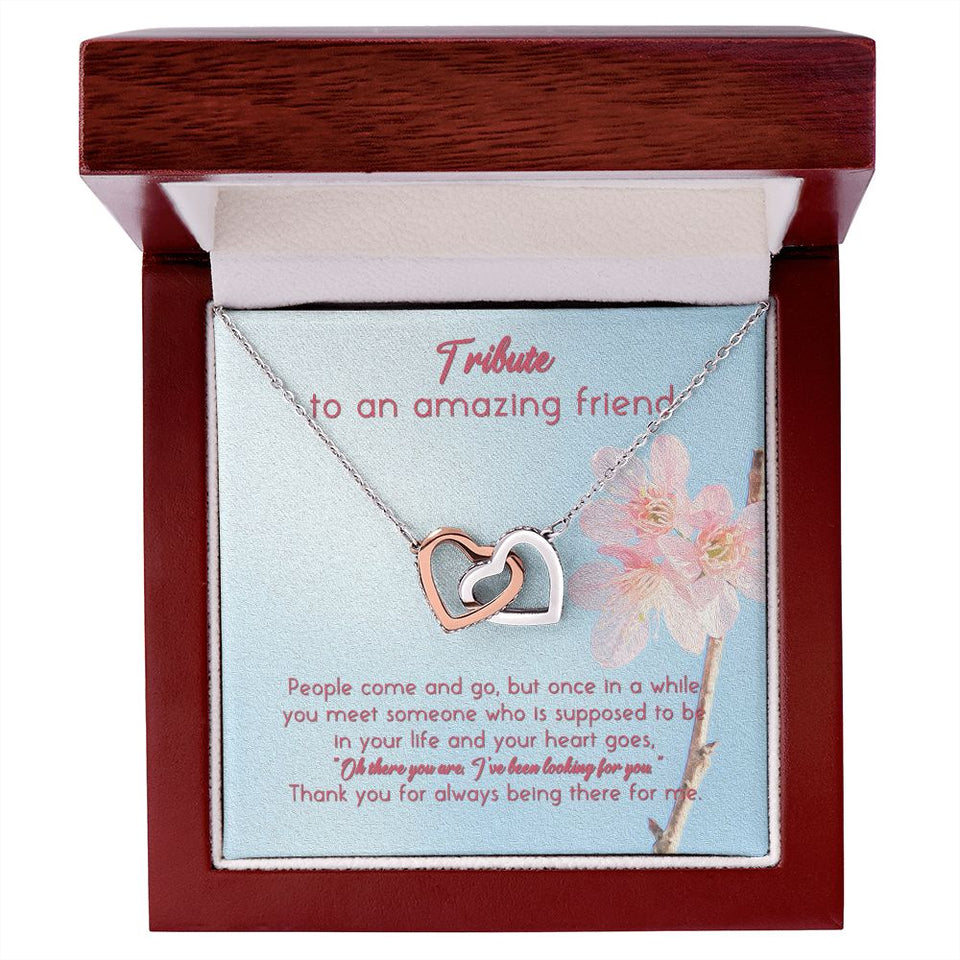 Tribute To An Amazing Friend Interlocking Hearts Necklace