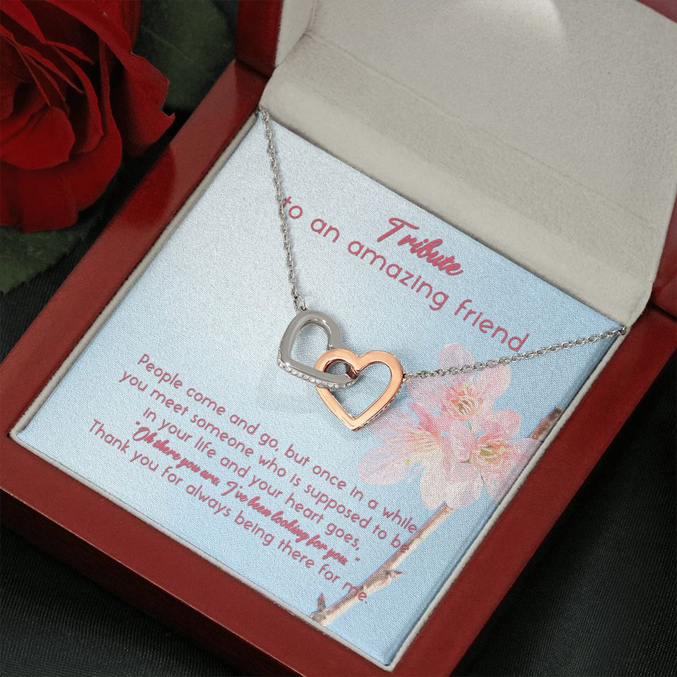 Tribute To An Amazing Friend Interlocking Hearts Necklace