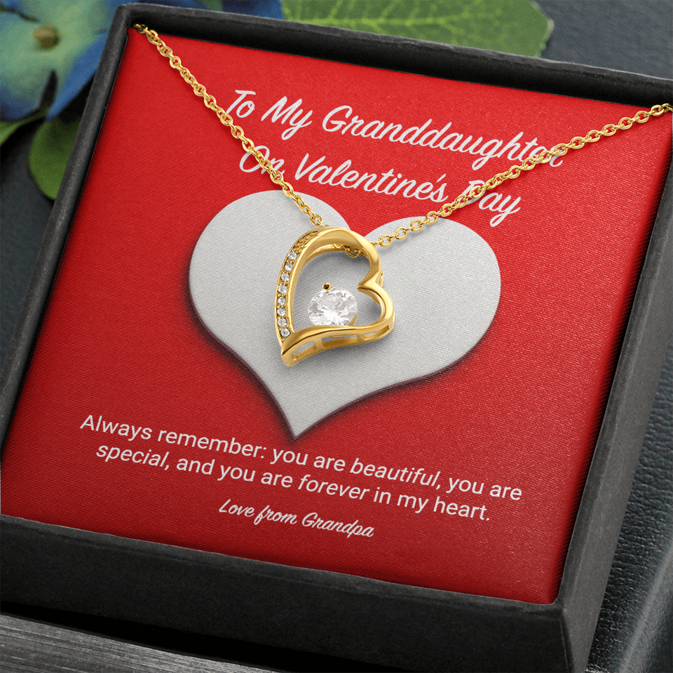 To My Granddaughter from Grandpa Valentine's Day Forever Love Necklace