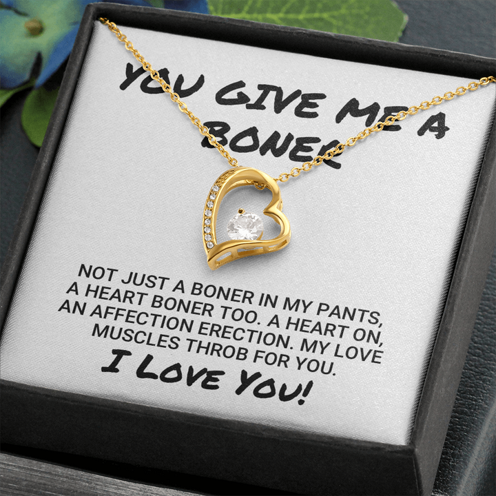 Wife Girlfriend Necklace Gift - Funny Valentines Gift - You Give Me Boner - A Heart On An Affection Erection - Forever Love Necklace LX033B