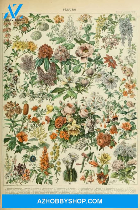 Assorted Flowers C Vintage Bookplate Adolphe Millot 