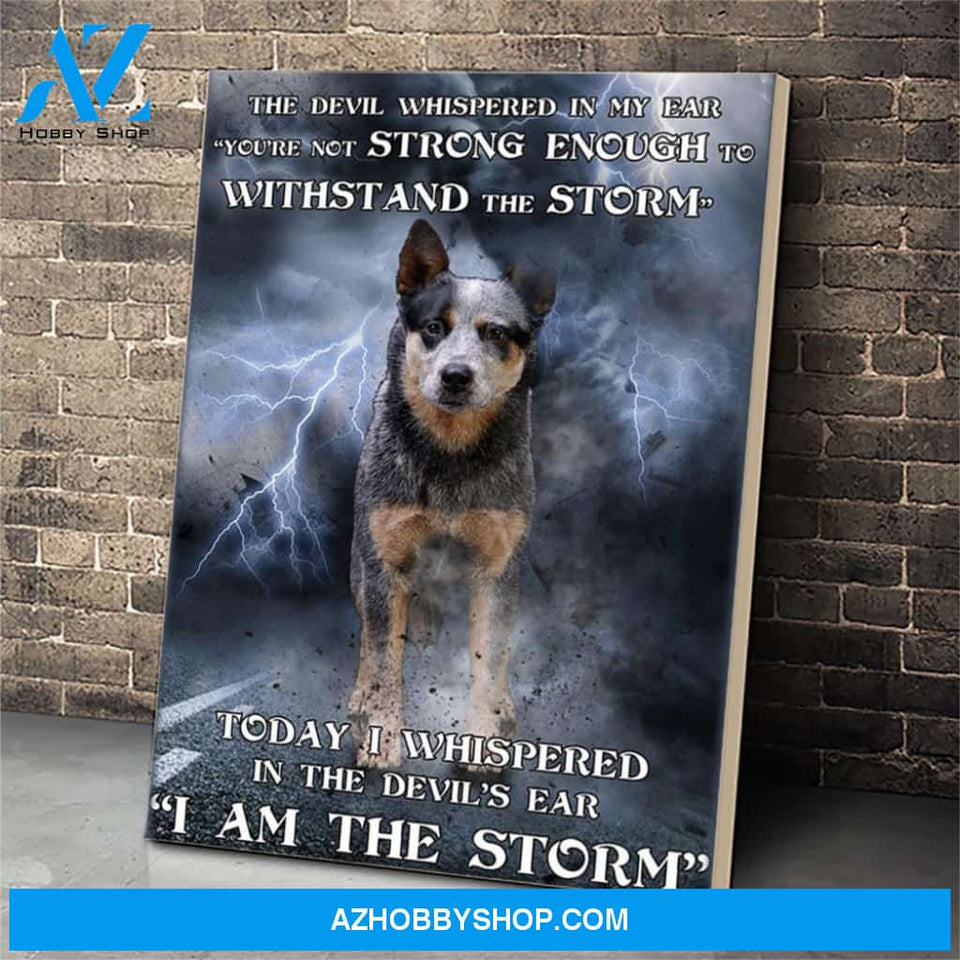 Australian Cattle Dog Canvas Prints Wall Art - Matte Canvas