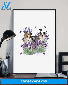 Australian Shepherd with lavender flower poster