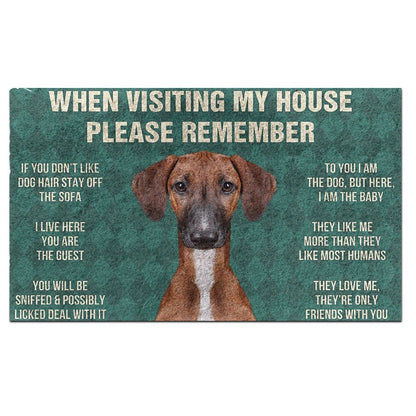 Azawakh's Rules Doormat