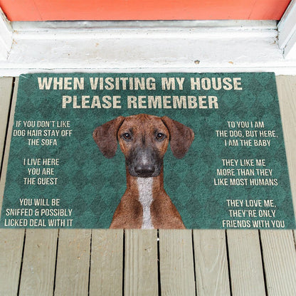 Azawakh's Rules Doormat