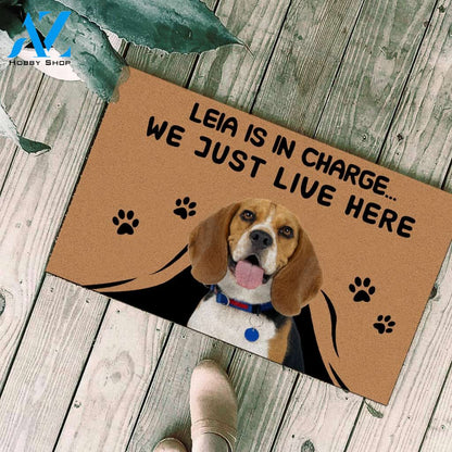 Beagle Dog Custom dog's Name and Photo Doormat Pet is in Charge We Just Live Here Funny Door Mat Personalized gift FSD1558