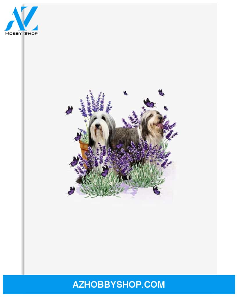 Bearded Collie With Lavender flower poster