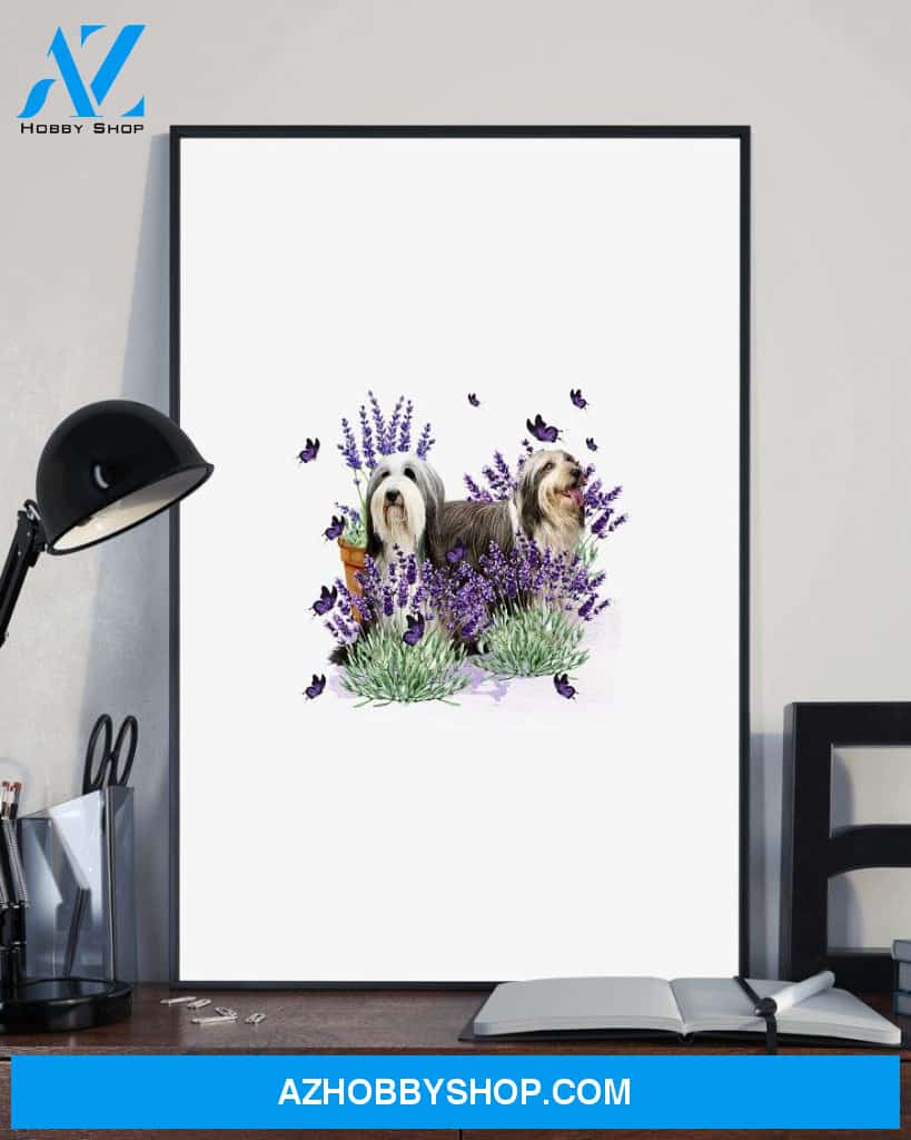 Bearded Collie With Lavender flower poster