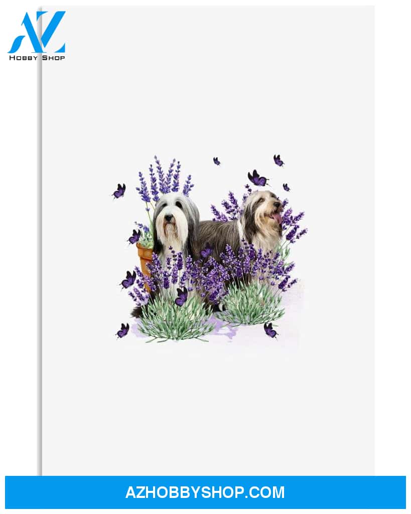 Bearded Collie With Lavender flower poster