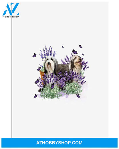 Bearded Collie With Lavender flower poster