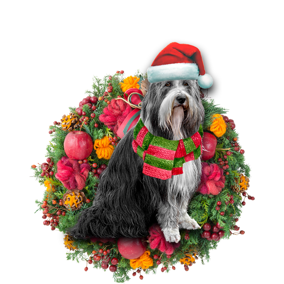 Godmerch- Ornament- Bearded Collie Christmas Ornament, Happy Christmas Ornament, Car Ornament