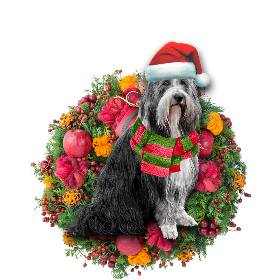 Godmerch- Ornament- Bearded Collie Christmas Ornament, Happy Christmas Ornament, Car Ornament