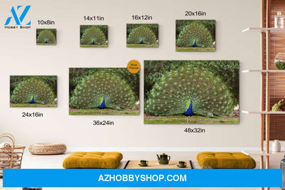 Beautiful Blue Green Peacock Canvas Print Wall Art - Matte Canvas