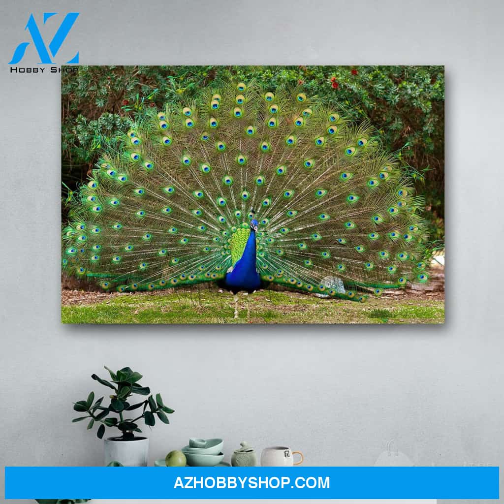 Beautiful Blue Green Peacock Canvas Print Wall Art - Matte Canvas