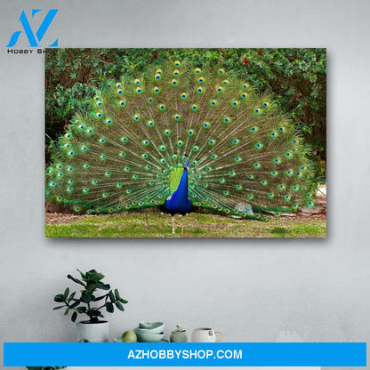 Beautiful Blue Green Peacock Canvas Print Wall Art - Matte Canvas