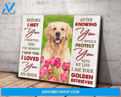 Before I Met You Golden Retriever Wall Art Canvas, Wall Decor Visual Art