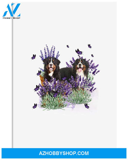 Bernese Mountain with lavender flower poster