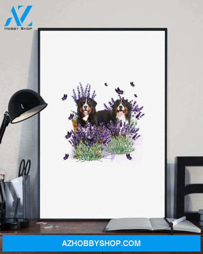 Bernese Mountain with lavender flower poster