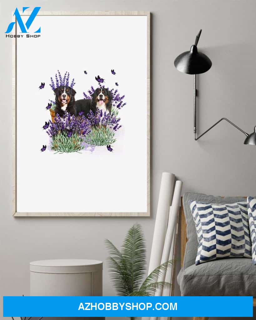 Bernese Mountain with lavender flower poster