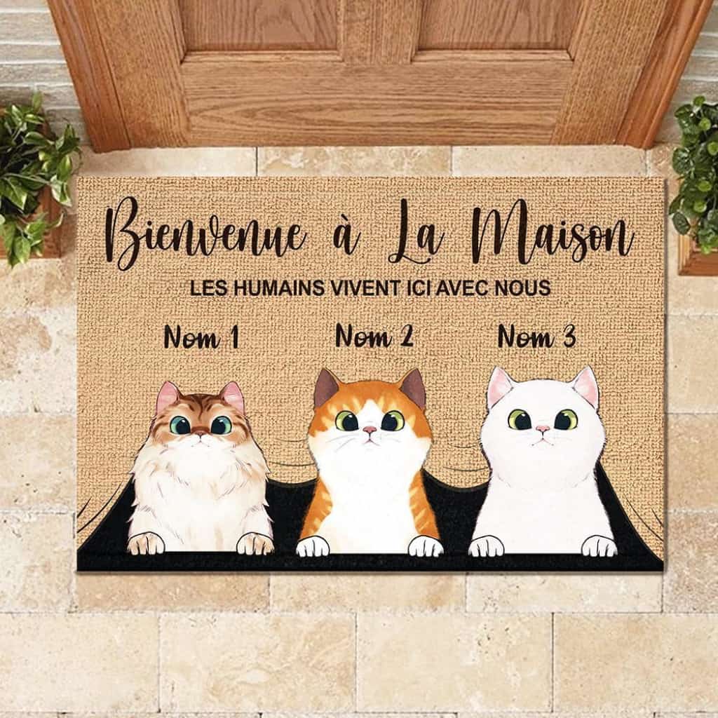 Bienvenue À La Maison French - Personalized Doormat Door