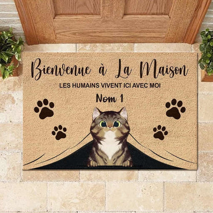 Bienvenue À La Maison French - Personalized Doormat Door