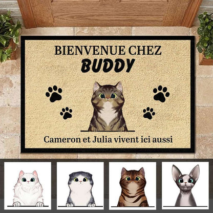 Bienvenue Personnalisée À La Maison Du Chat French- Personalized Doormat Door