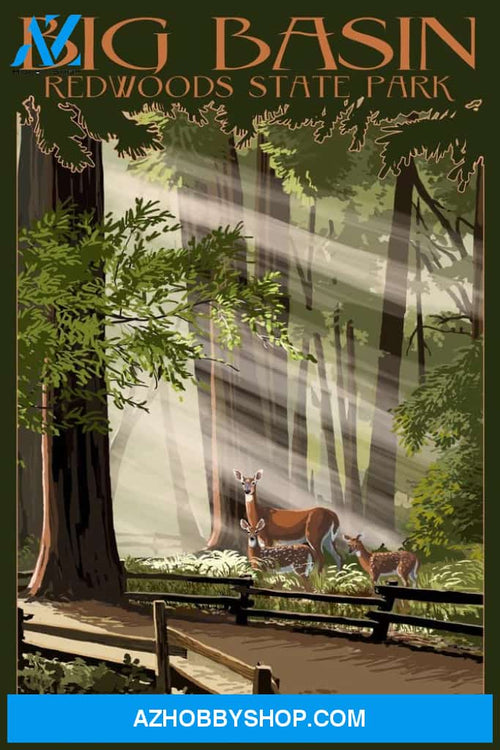 Big Basin Redwoods Park California - Deer And Fawns