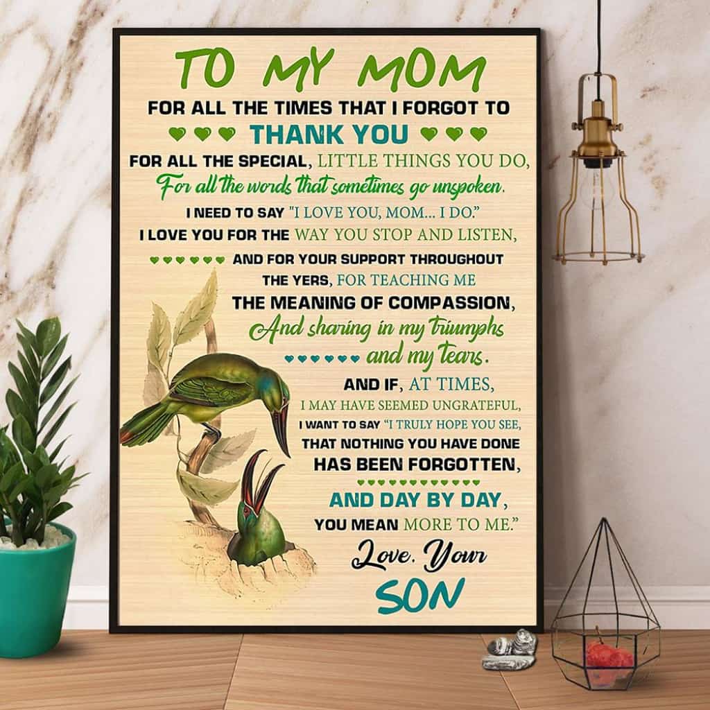 Birds Son To My Mom For All The Times That I Forgot To Thank You Paper Poster No Frame Matte Canvas Wall Decor
