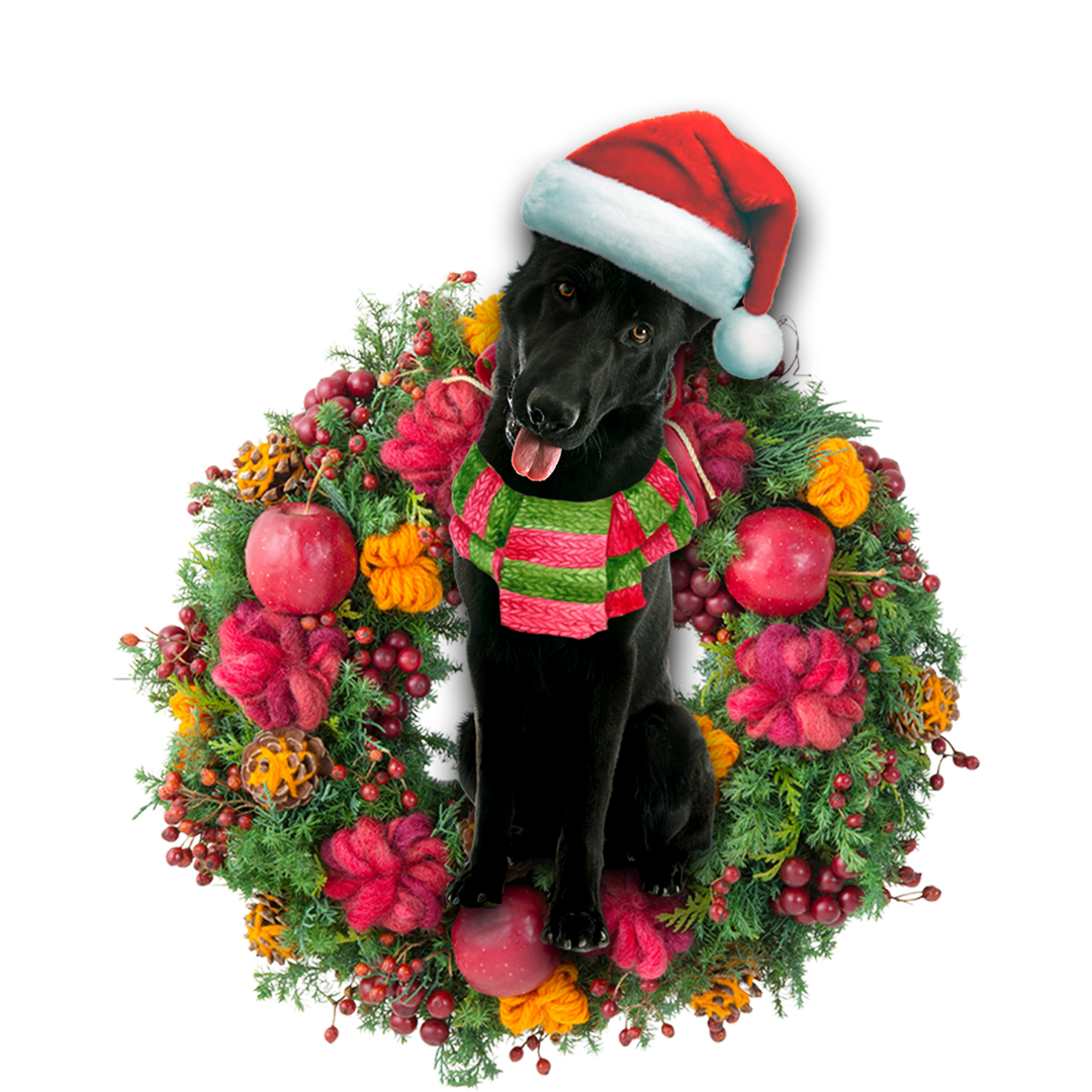 Godmerch- Ornament- Black German Shepherd Christmas Ornament, Happy Christmas Ornament, Car Ornament