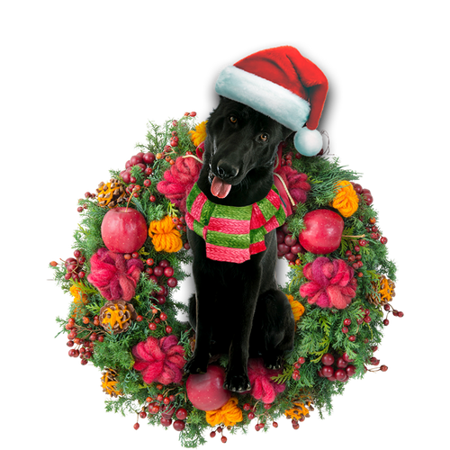 Godmerch- Ornament- Black German Shepherd Christmas Ornament, Happy Christmas Ornament, Car Ornament