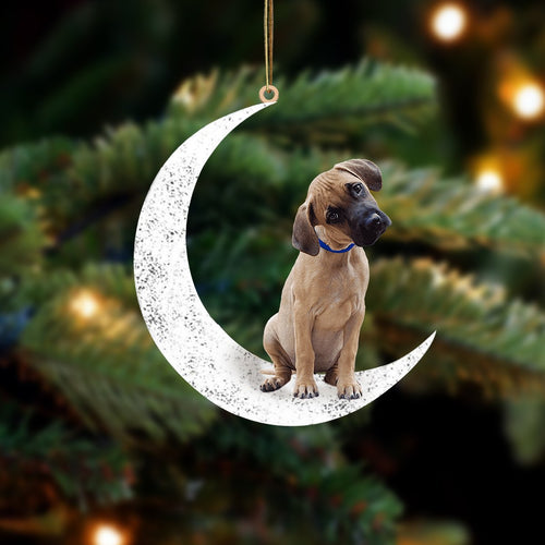 Black Mouth Cur Sit On The Moon Two Sided Ornament Dog Hanging Christmas Ornament