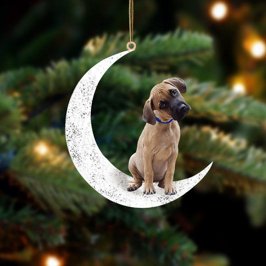 Black Mouth Cur Sit On The Moon Two Sided Ornament Dog Hanging Christmas Ornament