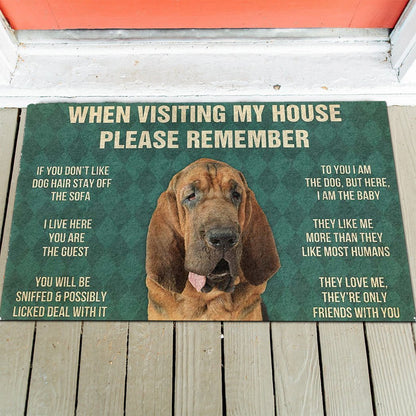 Bloodhound's Rules Doormat