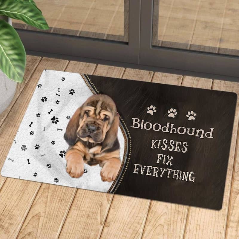 Bloodhound Kisses Fix Everything Doormat