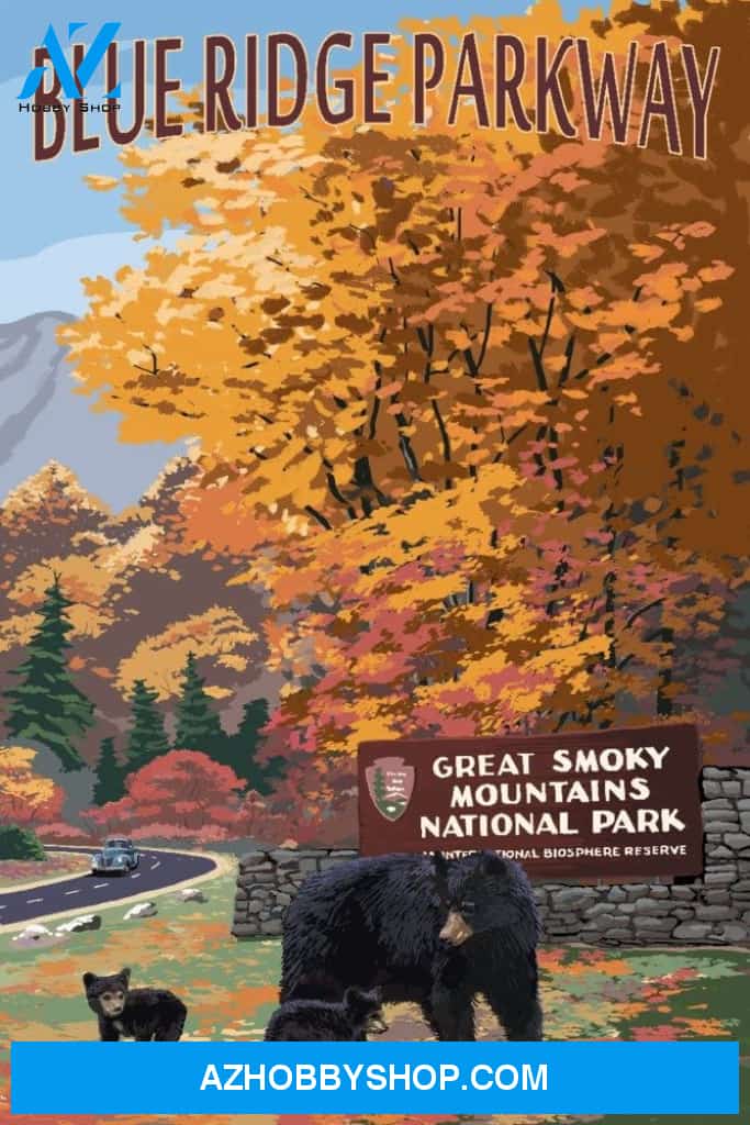 Blue Ridge Parkway Great Smoky Mountains Park Entrance And Bear Family