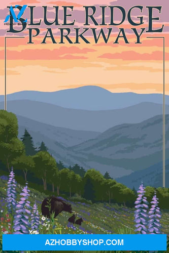 Blue Ridge Parkway Virginia Bear Family And Spring Flowers