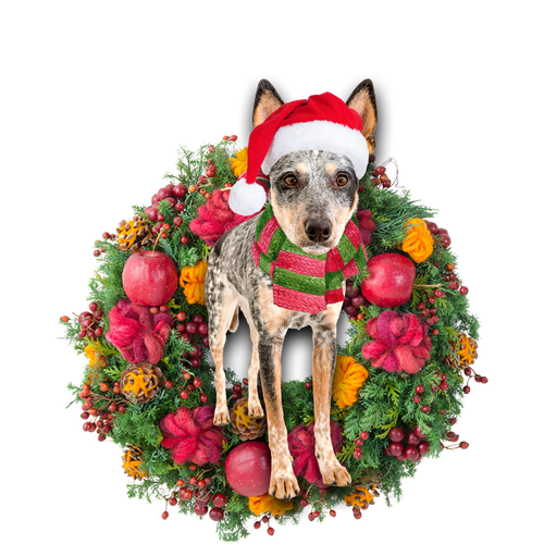 Godmerch- Ornament- Blue Heeler Christmas Ornament, Happy Christmas Ornament, Car Ornament