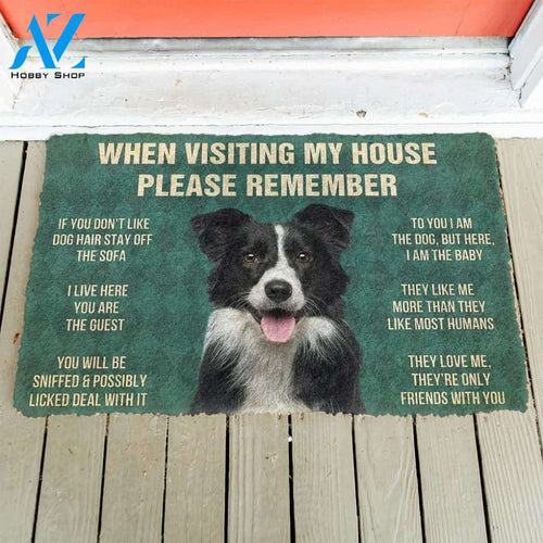 Border collie funny doormat