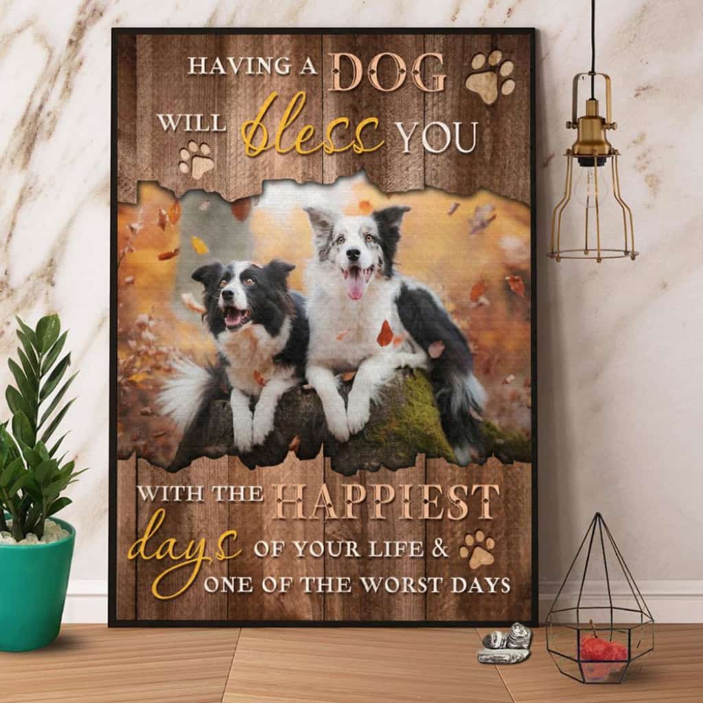 Border Collie Having A Dog Will Bless You With The Happiest Days Paper Poster No Frame Matte Canvas Wall Decor