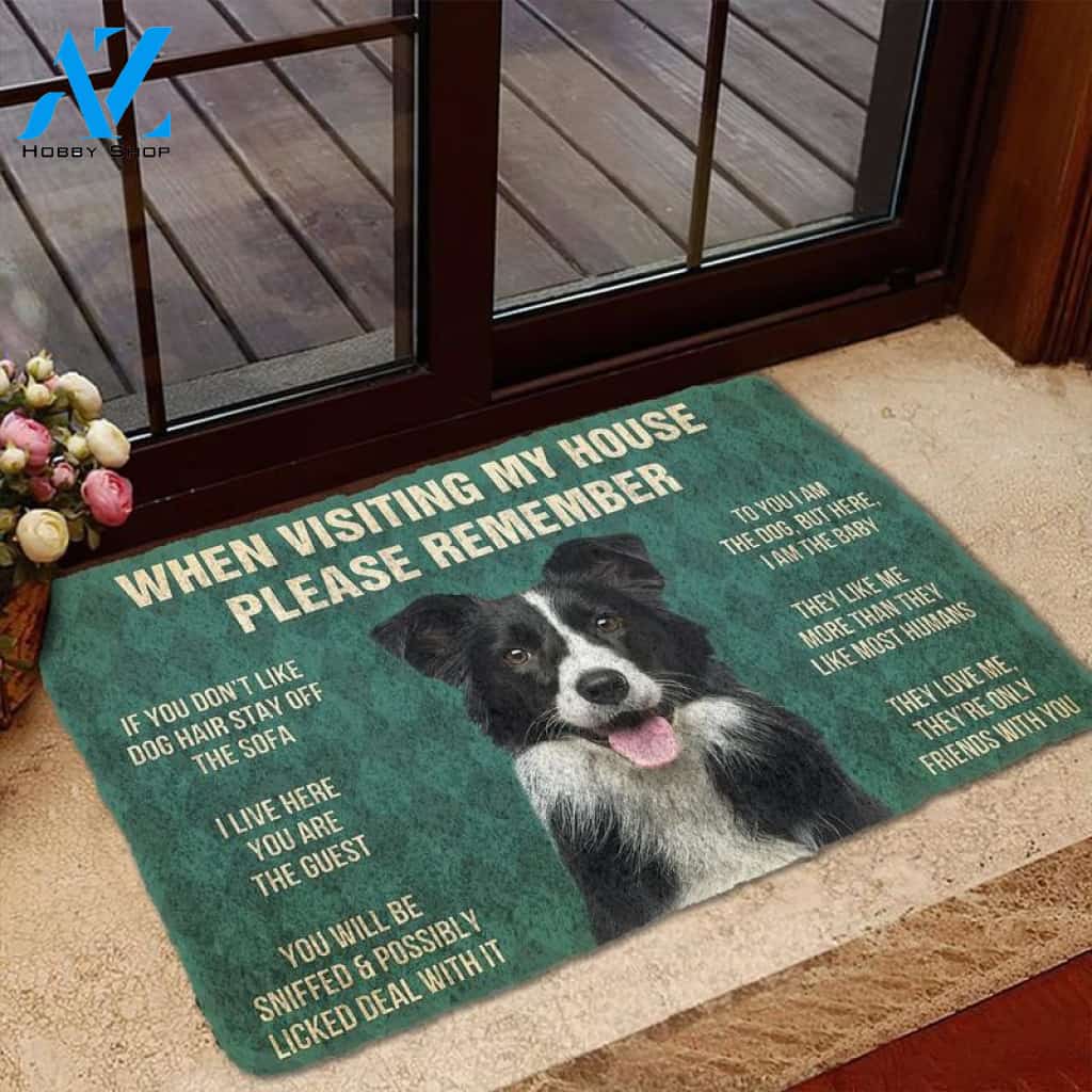 BORDER COLLIE When visiting my house please remember Doormat
