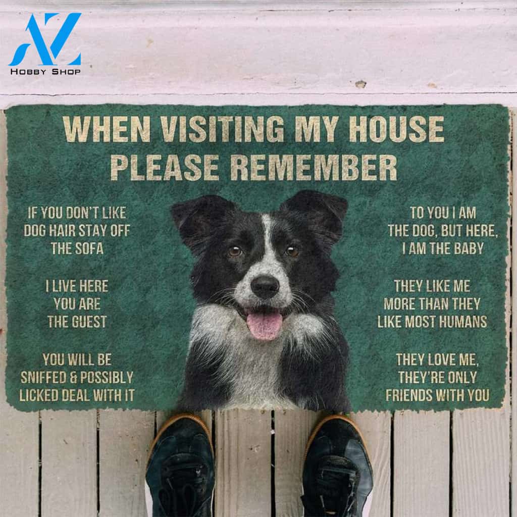 BORDER COLLIE When visiting my house please remember Doormat