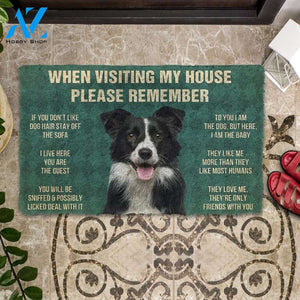 BORDER COLLIE When visiting my house please remember Doormat