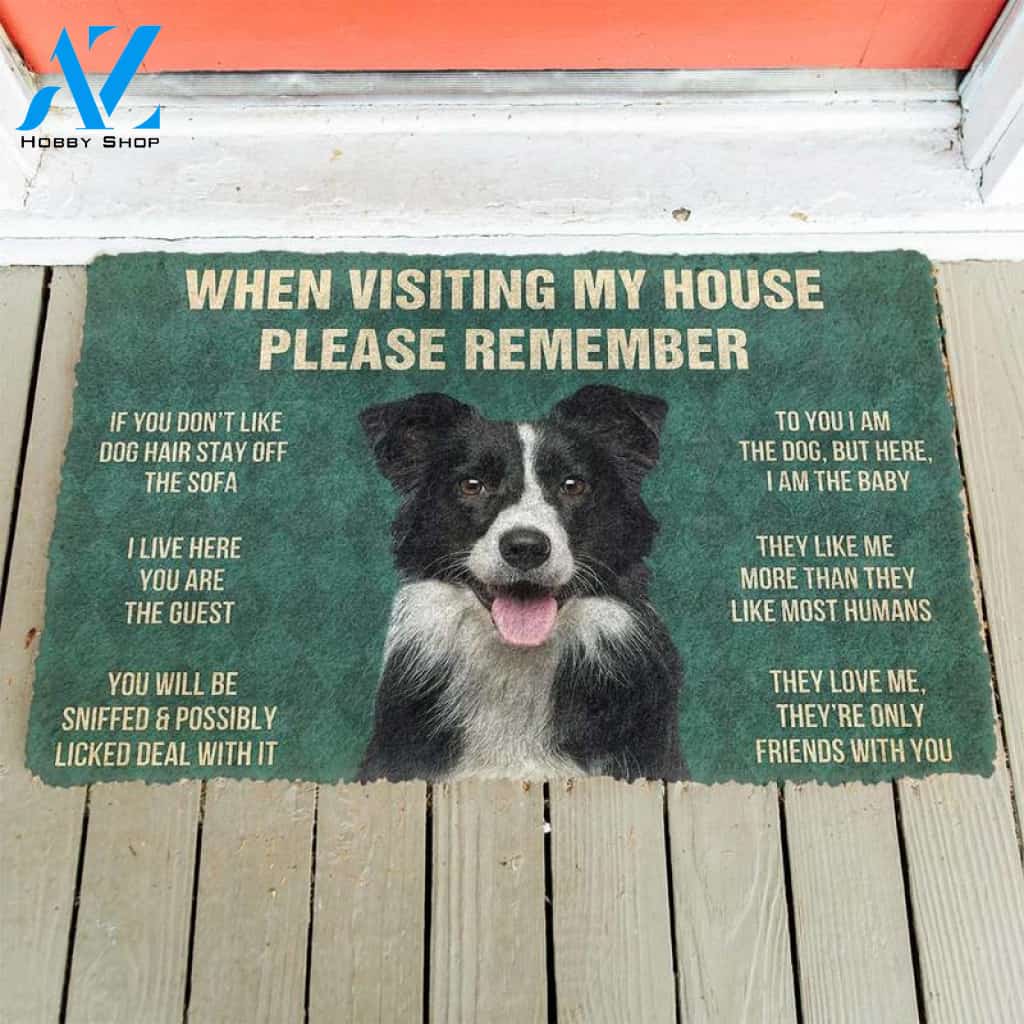 BORDER COLLIE When visiting my house please remember Doormat