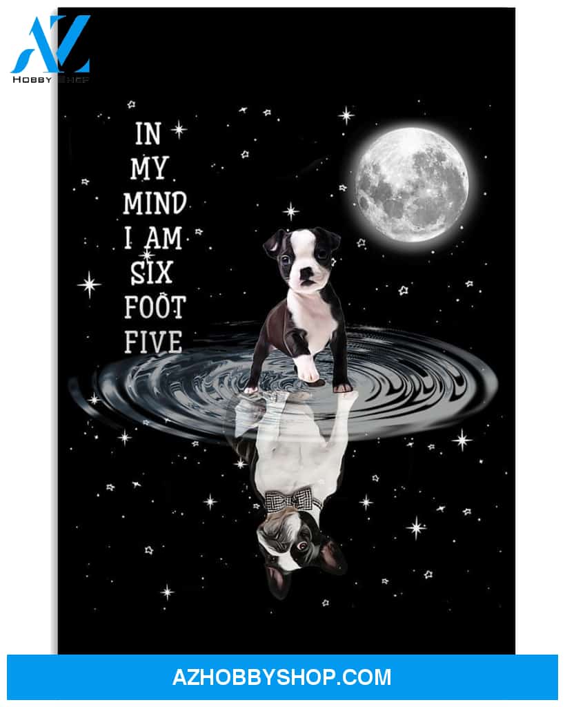 Boston Terrier In My Mind 16x24 Poster