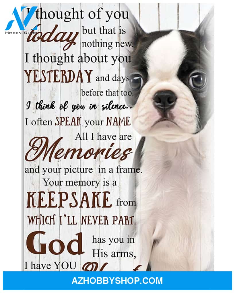 Boston Terrier Memories 16x24 Poster