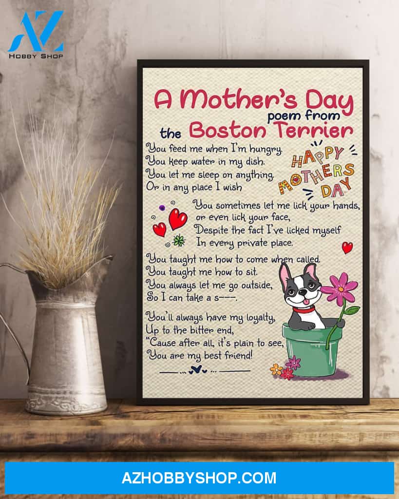 Boston Terrier 16x24 Poster