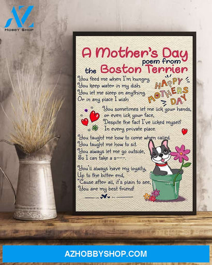 Boston Terrier 16x24 Poster