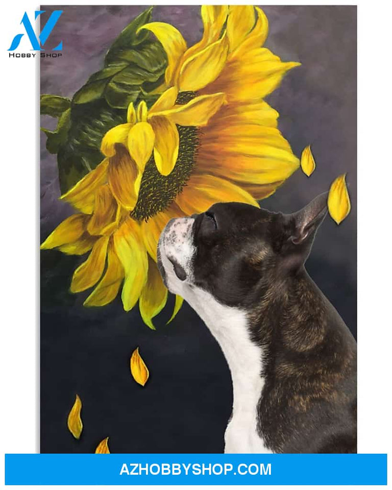 Boston terrier sunflower poster 16x24 Poster